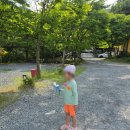 청풍명월펜션 | 제천 '선녀와나무꾼 펜션캠핑장' - 미온수 수영장부터...상영 이벤트까지 완벽했던 2박 3일 가족 캠핑후기!