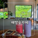 배방숲카페 | 아산 배방 카페 추천 | 통창 숲뷰 감성카페 배방숲카페 솔직후기