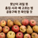 인지공판장 | 못난이 과일 뜻, 흠집 사과 배 공동구매 싸게 사는 법