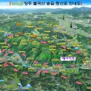 유양1통 티스토리