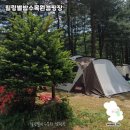 힐링별밤수목원캠핑장을 다녀온 후기를 공유합니다🌲
