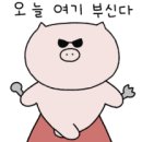 부영함바식당