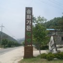 벽진초등학교 이미지