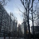 윤중중학교 내 | 32회 펀드투자권유자문인력 합격 후기