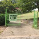 윤강 선생 묘 및 신도비 이미지