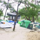 민들레울 이미지