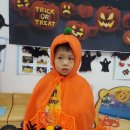 리틀비전어린이집 이미지