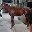 라온목장 이미지