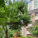 서울명덕초등학교 이미지