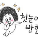 안뜨락 이미지