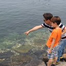 호연수산 이미지