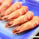 동해미락 이미지