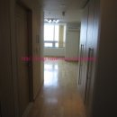 동연아미가 이미지