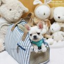 따봉PC 이미지