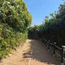 맹골죽도 민박집 | [홍성 죽도] 5월 연휴에 여기 어때요? 남당항에서 배...섬 여행! 배타는 법부터 찐 여행 후기까지!