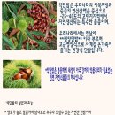 1kg=7,000원 달콤하고 고소한 1등급 천진약단밤!! (6월5일) 이미지