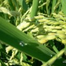 주산농장 이미지