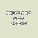 선물 | 여자친구 선물로 라부부 인형, 과연 좋아할까? (선물 후기)