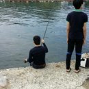 바다그리기 민박 이미지