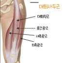 엑스(x)휘트니스 이미지