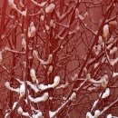 첫눈이네집 이미지