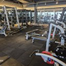 파워라이프헬스클럽 이미지