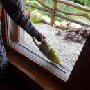 구례황토구들펜션 이미지