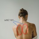 오체한의원 이미지