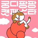 빅빅캣 이미지