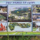 라인행정사 이미지