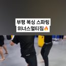 위너스복싱 이미지