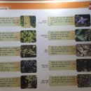 수림세계여행 이미지