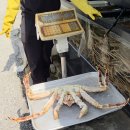 디그니티호텔 | 119. 강원도 드라이브같은 여행-(교동대게 강릉본점, 양양 디그니티 호텔후기)