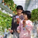 이성기농장 이미지