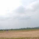 목포야구장 이미지