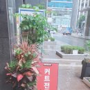 대우미용실 이미지