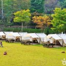 보광산관광농원 이미지