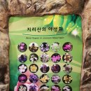 지리산 생태 과학관 이미지