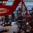 휘트니스 풀바디 이미지