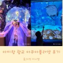 세라젬갤러리아광교점 | 아이랑 광교 아쿠아플라넷 할인, 먹이주기, 머메이드