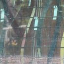 성전경로당 이미지