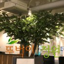 느티나무피시방 이미지