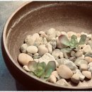 굿샷 스크린골프 이미지