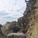 호산지하수 | 제주도 지질답사 첫째날(서귀포층, 천지연 폭포, 송악산, 산방산, 사람발자국 화석지, 용머리 해안)