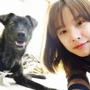 강이네펫샵 이미지