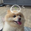 2025 서울 모빌리티쇼(모터쇼) 다녀왔습니다