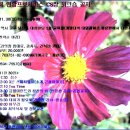 대성프로서비스 이미지