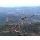 기린농협주유소 이미지