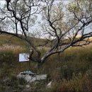 광덕1로10 이미지