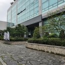엠지 | 직장인 점심 맛집! 엠지투게더 문래동한식뷔페 후기